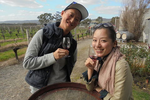 Swan Valley River Cruise And Wine Tasting Day Trip From Perth - Hervey Bay Accommodation 0