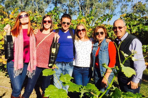 Wine Tasting Day Trip And Swan Valley River Cruise To Perth - Hervey Bay Accommodation 2