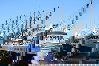 Book Viator Accommodation Vacations Hervey Bay Accommodation Hervey Bay Accommodation