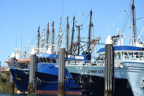 One Day Port Lincoln Tour - Tasting Eyre - Hervey Bay Accommodation 0