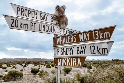 One Day Port Lincoln Tour - Tasting Eyre - Hervey Bay Accommodation 2