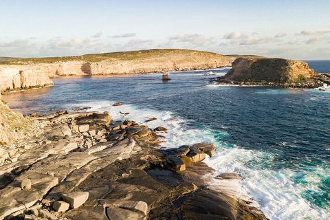 One Day Port Lincoln Tour - Tasting Eyre - Hervey Bay Accommodation 3