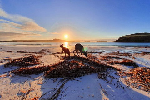 10-Day Perth To Adelaide Adventure Tour - Hervey Bay Accommodation 1