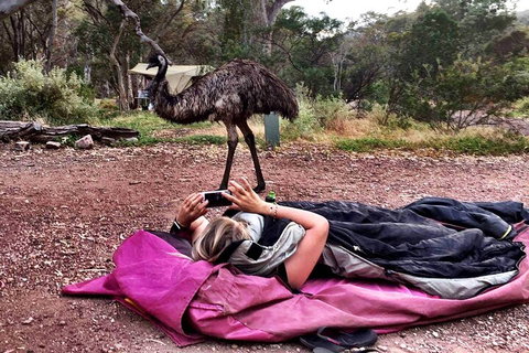 6 Day Esperance & Margaret River Adventure Tour - Hervey Bay Accommodation 5