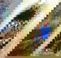 Rottnest Island Full-Day Trip With Guided Island Tour From Perth - Hervey Bay Accommodation