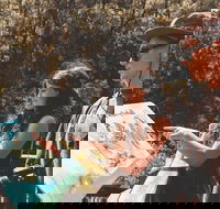 Springbrook andTamborine Rainforest Tour Incl Natural Bridge and Glow Worm Cave - Hervey Bay Accommodation