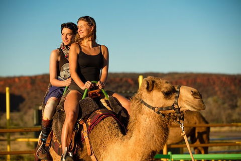 4 Day/3 Night Perentie Dreaming Safari - Hervey Bay Accommodation 4