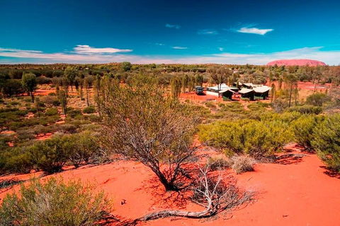 Overnight Uluru (Ayers Rock) Small-Group Camping Tour - Hervey Bay Accommodation 2