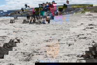 Book Viator Accommodation Vacations Hervey Bay Accommodation Hervey Bay Accommodation