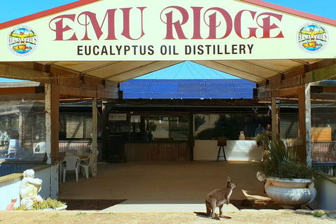 2 Day Ultimate Kangaroo Island With Return Ferry - Hervey Bay Accommodation 3