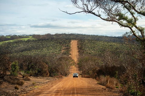 NEW TOUR - Kangaroo Island Road To Recovery Tour (1 Day/1 Night) - Hervey Bay Accommodation 2
