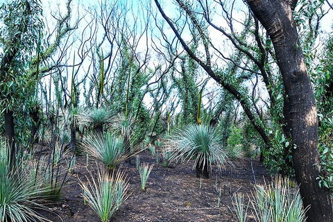 NEW TOUR - Kangaroo Island Road To Recovery Tour (1 Day/1 Night) - Hervey Bay Accommodation 3