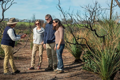 NEW TOUR - Kangaroo Island Road To Recovery Tour (1 Day/1 Night) - Hervey Bay Accommodation 4