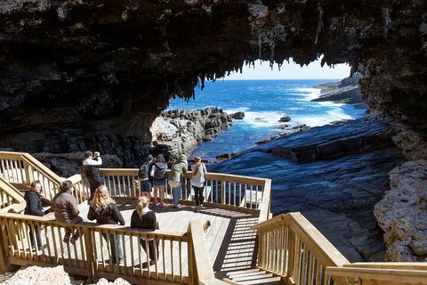 Full Day Flinders Chase Tour From Kangaroo Island - Hervey Bay Accommodation 1