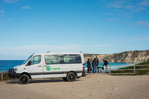 Full Day Flinders Chase Tour From Kangaroo Island - Hervey Bay Accommodation 3
