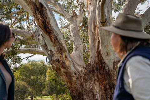 Full Day Flinders Chase Tour From Kangaroo Island - Hervey Bay Accommodation 5