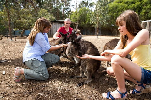 Full-Day Kangaroo Island Experience Departing From Kangaroo Island - Hervey Bay Accommodation 5