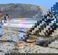 Full day Seal Bay Experience departing from Kangaroo Island - Hervey Bay Accommodation