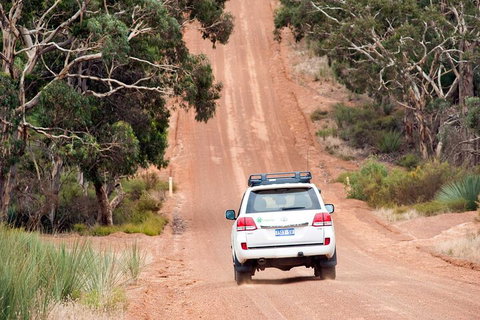 Full Day Seal Bay Experience Departing From Kangaroo Island - Hervey Bay Accommodation 2