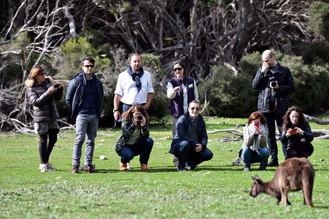 Small-Group Kangaroo Island 4WD Tour From Adelaide - Tourism Hervey Bay 2