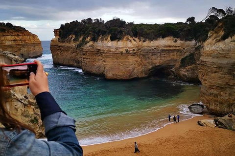Small-Group Great Ocean Road Day Trip From Melbourne - Hervey Bay Accommodation 1