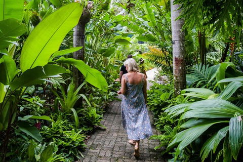 Cairns City Sights And Surrounds Tour - Hervey Bay Accommodation 2