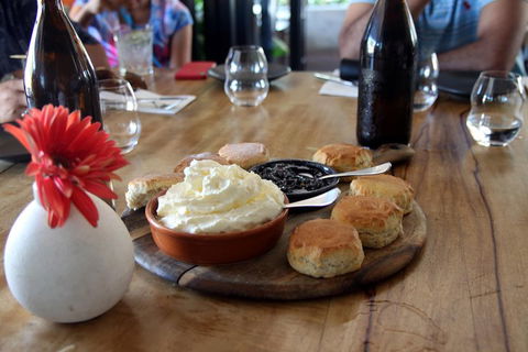 Small-Group Afternoon Cairns City Tour With Harbour Dinner Cruise - Hervey Bay Accommodation 3