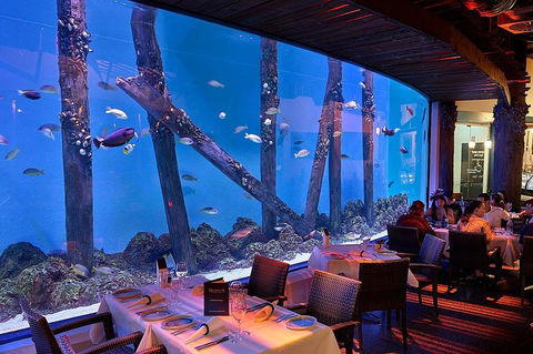 Cairns Aquarium And Small Group City Sightseeing Tour - Hervey Bay Accommodation 4