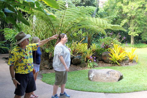 Cairns Shore Excursion: Cairns City Sights & Surrounds Tour - Hervey Bay Accommodation 4