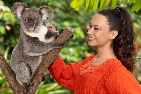 Kuranda Wildlife Experience Three Attraction Pass - Hervey Bay Accommodation 4