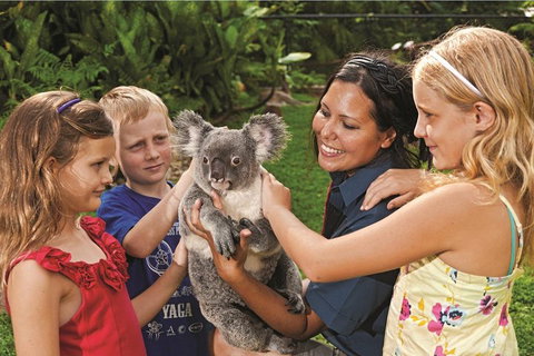 Kuranda Koala Gardens General Entry Ticket - Hervey Bay Accommodation 0