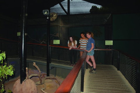 Kuranda Koala Gardens General Entry Ticket - Hervey Bay Accommodation 2