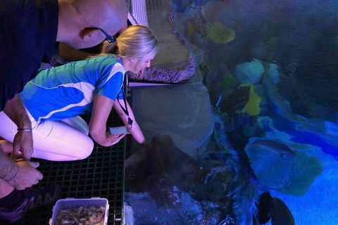 Cairns Aquarium Marine Life Encounter Ticket With 2-Course Lunch - Hervey Bay Accommodation 2