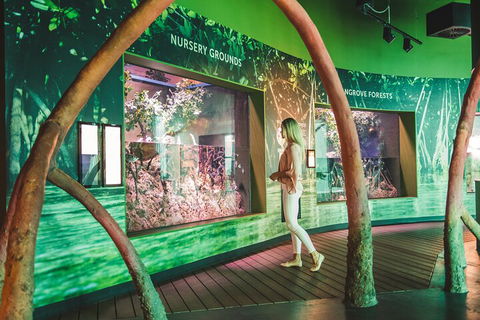 Cairns Aquarium Marine Life Encounter Ticket With 2-Course Lunch - Hervey Bay Accommodation 3