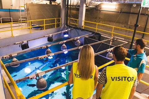 Cairns Aquarium Marine Life Encounter Ticket With 2-Course Lunch - Hervey Bay Accommodation 5