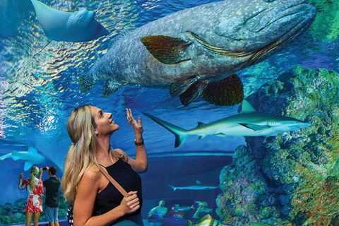 Cairns Aquarium Family Ticket - Hervey Bay Accommodation 3