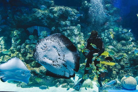 Cairns Aquarium Family Ticket - Hervey Bay Accommodation 4