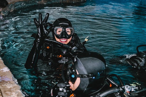 Cairns Aquarium Dive With The Sharks - Hervey Bay Accommodation 0