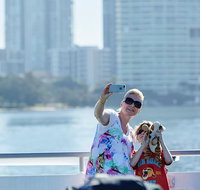 Lunch Buffet Cruise on the Gold Coast - Hervey Bay Accommodation