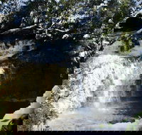 Cradle Mountain Day Tour from Launceston Including Lunch - Tourism Hervey Bay