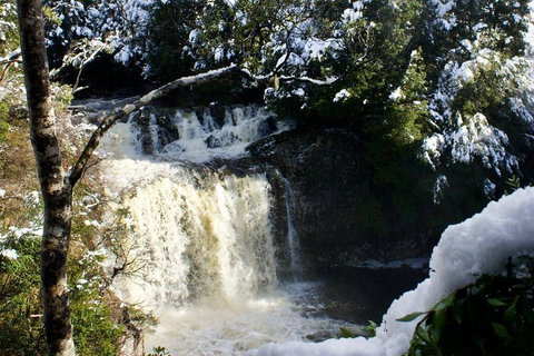 Cradle Mountain Day Tour From Launceston Including Lunch - Tourism Hervey Bay 0