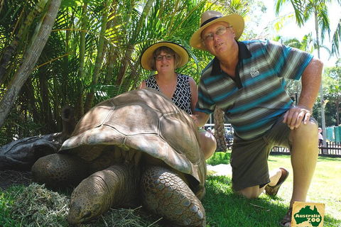 Small-Group Australia Zoo Day Trip From Brisbane - Hervey Bay Accommodation 1