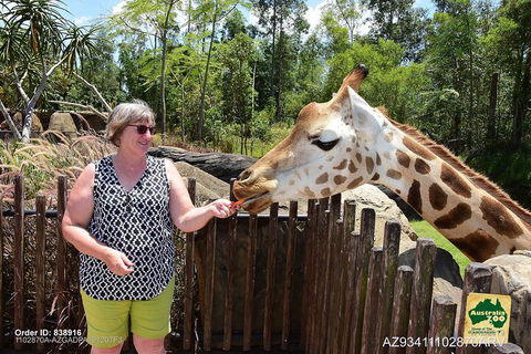 Small-Group Australia Zoo Day Trip From Brisbane - Hervey Bay Accommodation 2