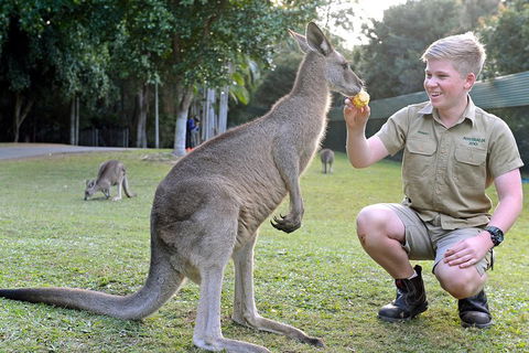 Small-Group Australia Zoo Day Trip From Brisbane - Hervey Bay Accommodation 4