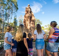Litchfield National Park Waterfalls and Wildlife Tour from Darwin - Tourism Hervey Bay