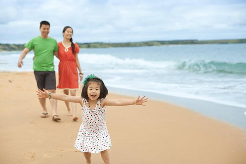Phillip Island Penguin Parade Day Trip With Koala Conservation Reserve Visit - Hervey Bay Accommodation 5