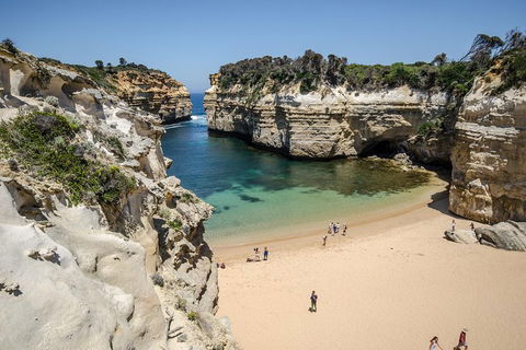 Great Ocean Road Reverse Itinerary With 12 Apostles From Melbourne - Tourism Hervey Bay 5