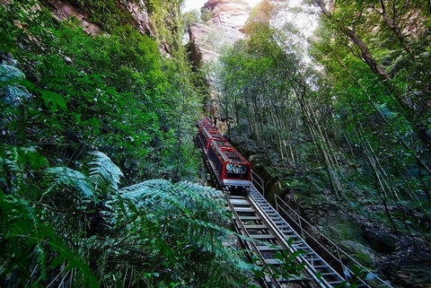 Blue Mountains Private Tour With Kangaroos & Koala Encounter - Hervey Bay Accommodation 1