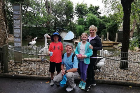 Blue Mountains Private Tour With Kangaroos & Koala Encounter - Hervey Bay Accommodation 4