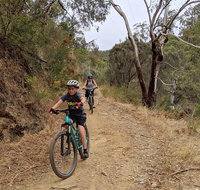 Mount Lofty Descent Bike Tour from Adelaide - Hervey Bay Accommodation